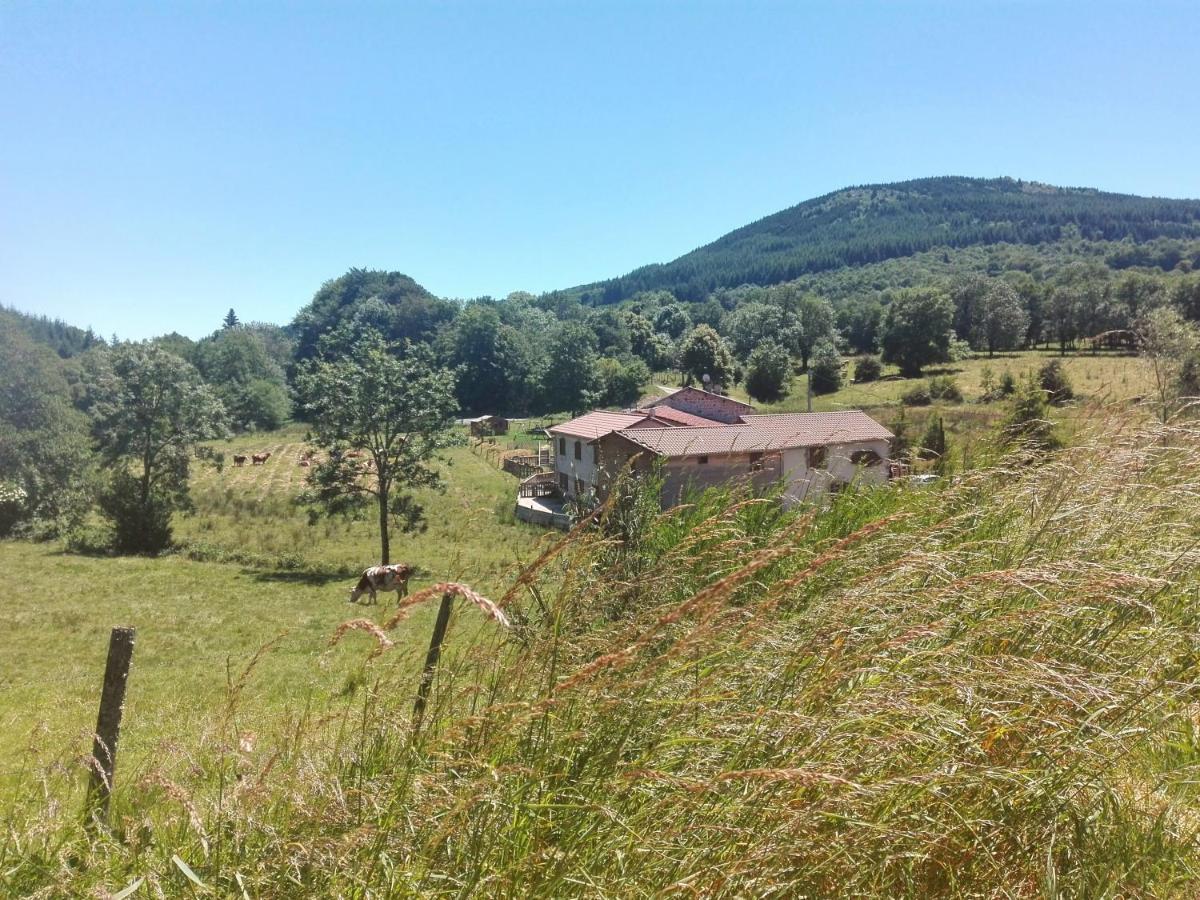 Le Moulin De La Fortie, Maison D'Hotes Viscomtat Exteriör bild