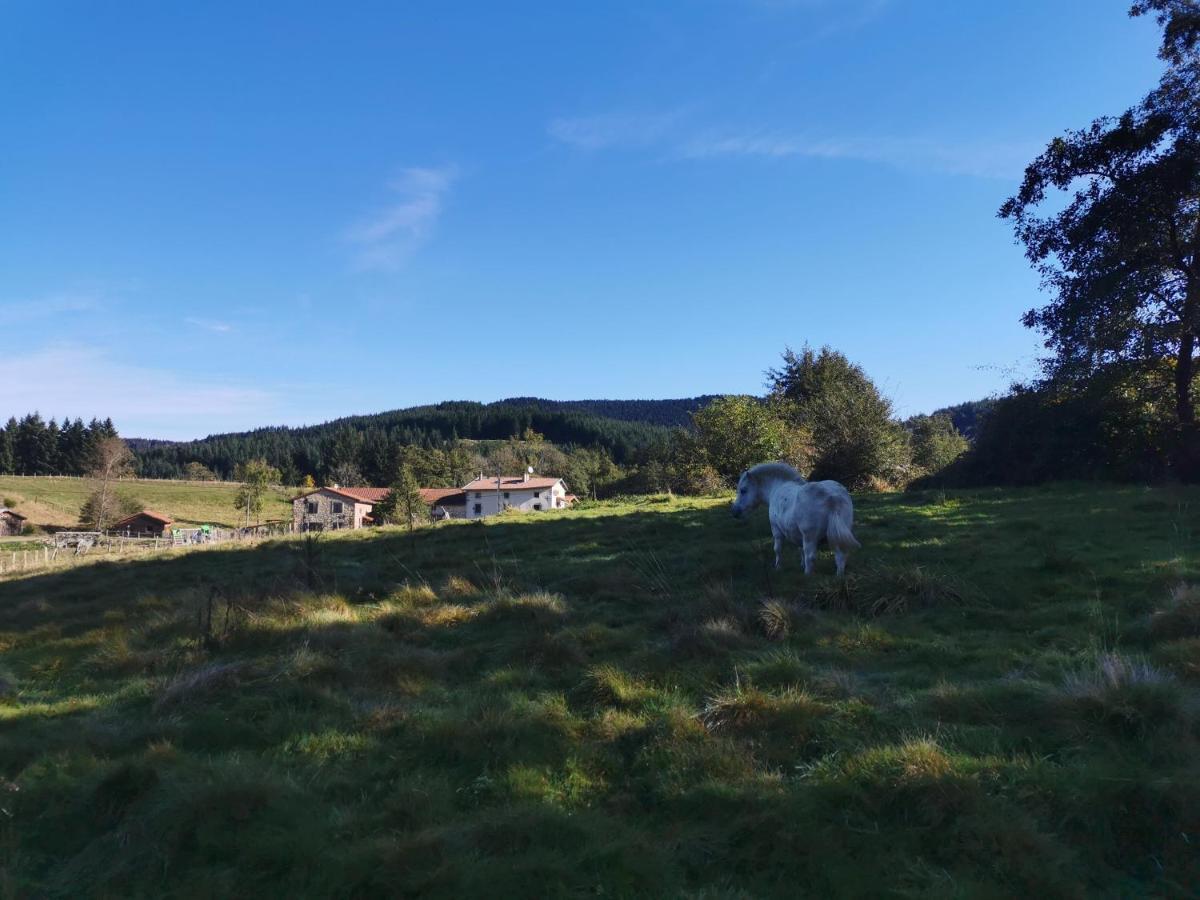 Le Moulin De La Fortie, Maison D'Hotes Viscomtat Exteriör bild